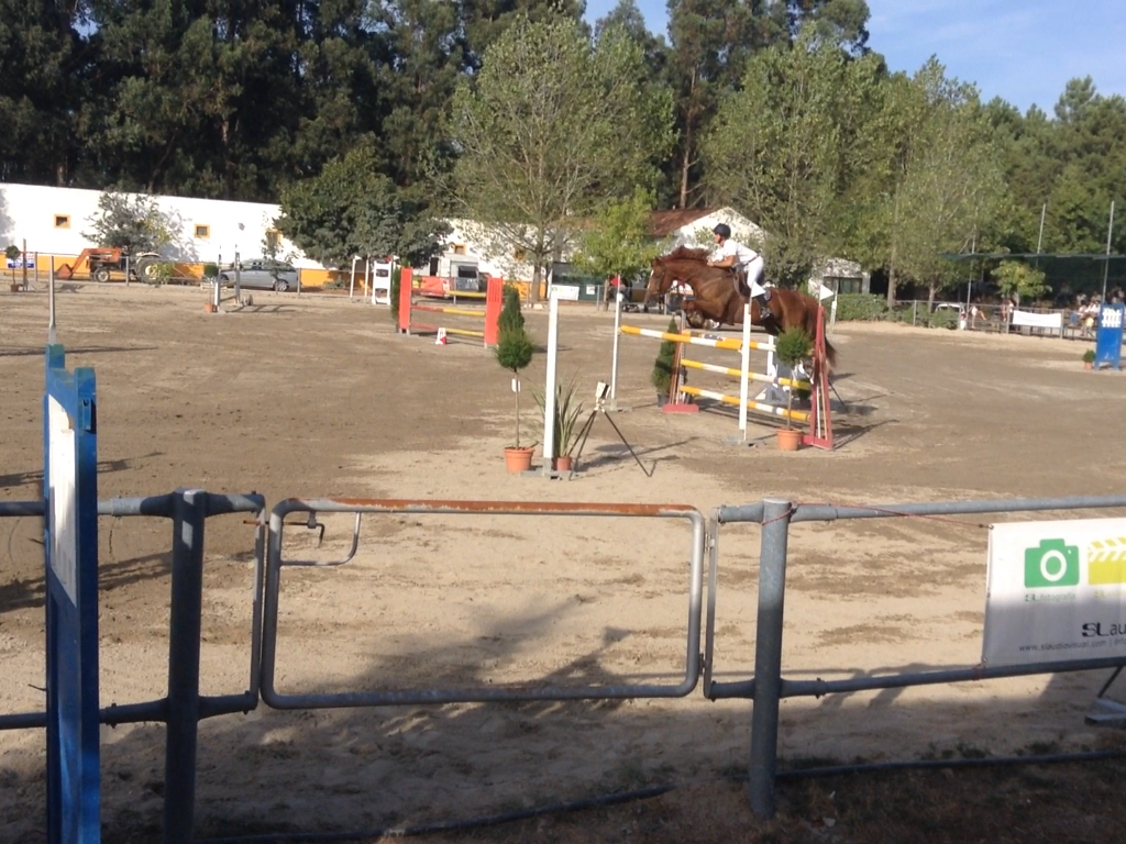 Classificações Concurso Centro Hípico de Viseu